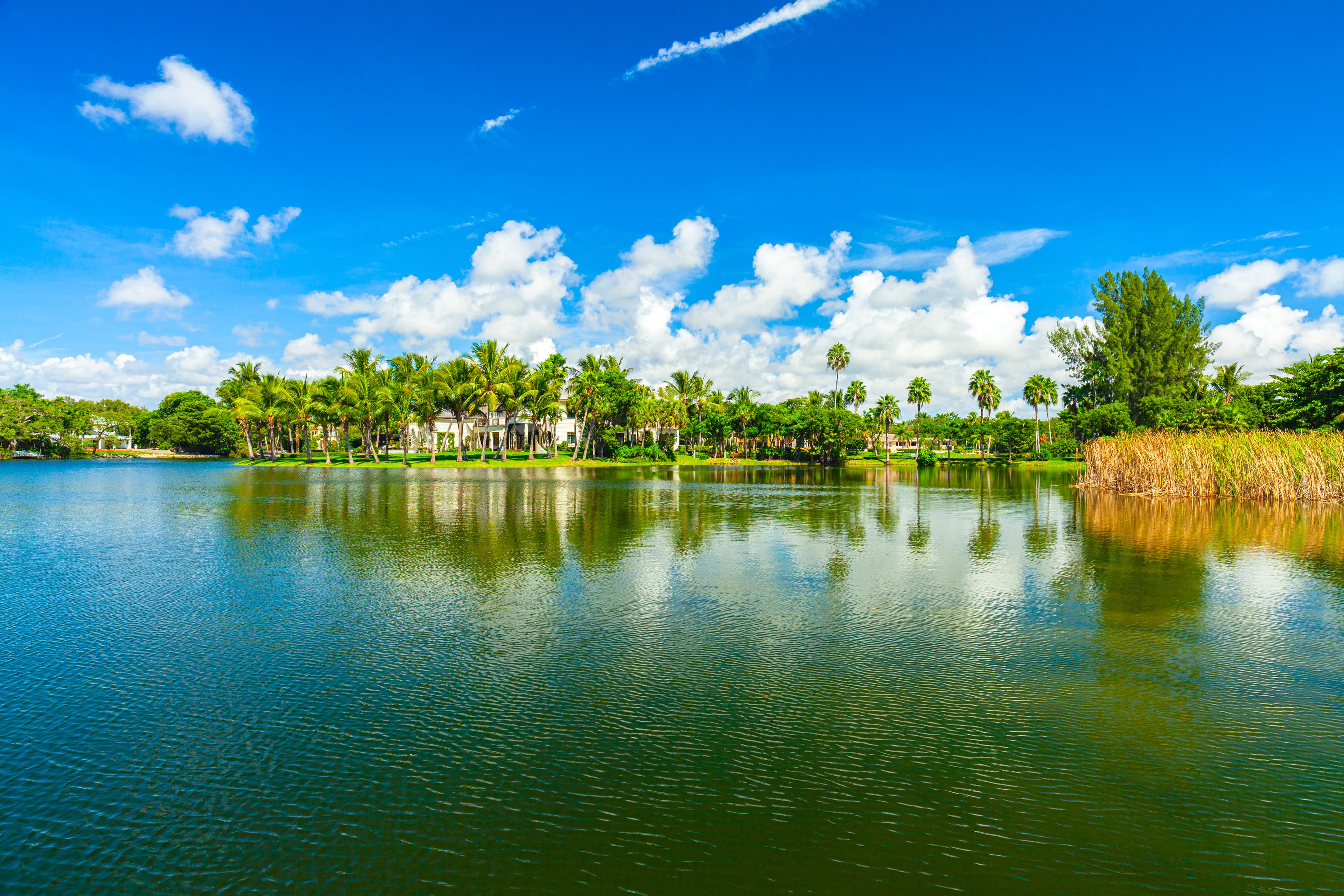 Miami Lakes area